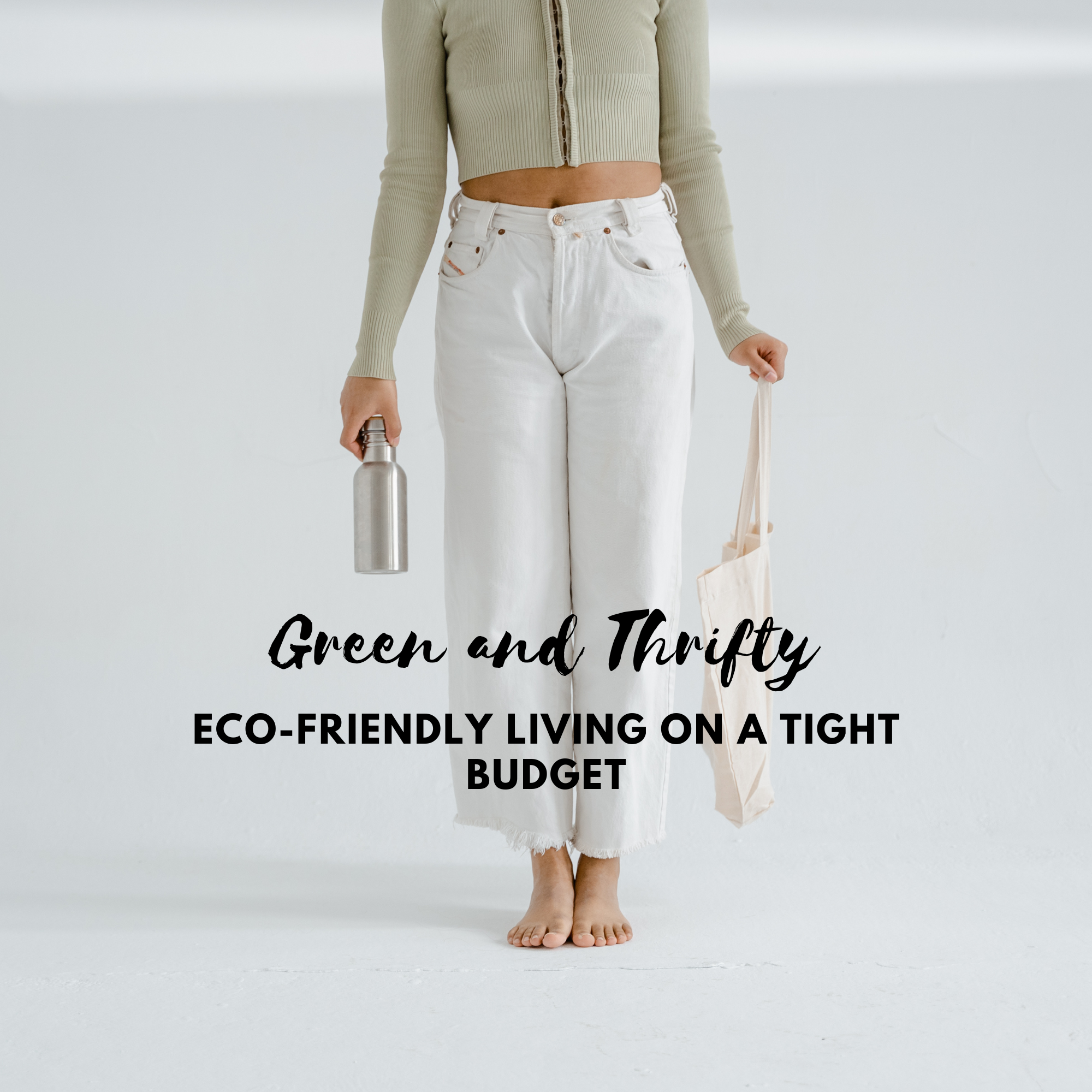 Green and Thrifty: Eco-Friendly Living on a Tight Budget