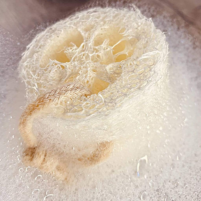 Ethika_Inc NATURAL LOOFAH SET OF 2