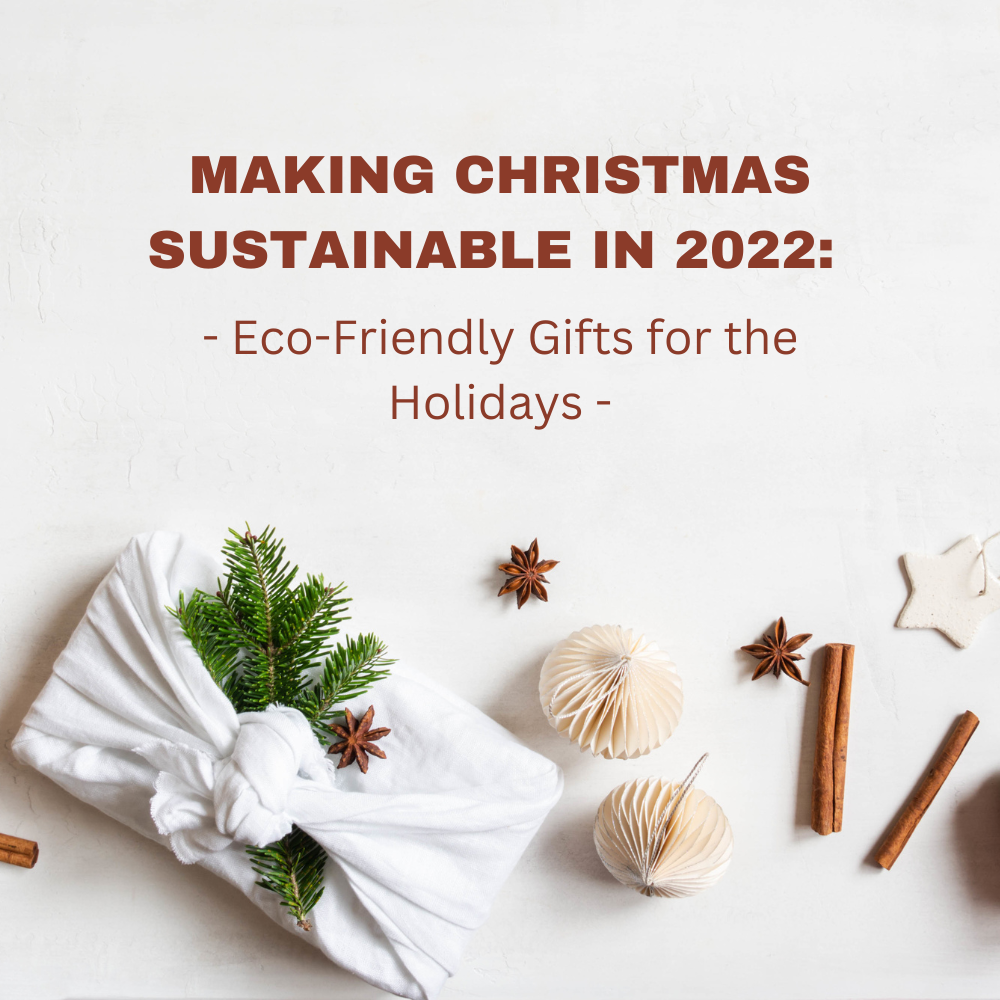Eco Friendly Gift Guide for Kids - Bloom & Spark